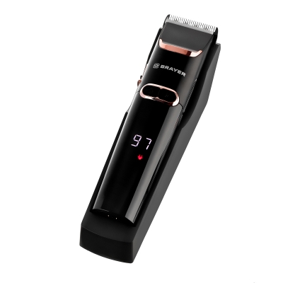 Купить  BRAYER BR3401 — Фото 7