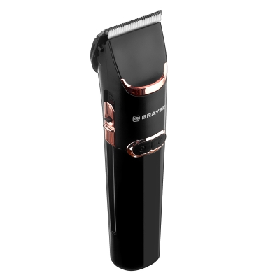 Купить  BRAYER BR3401 — Фото 3