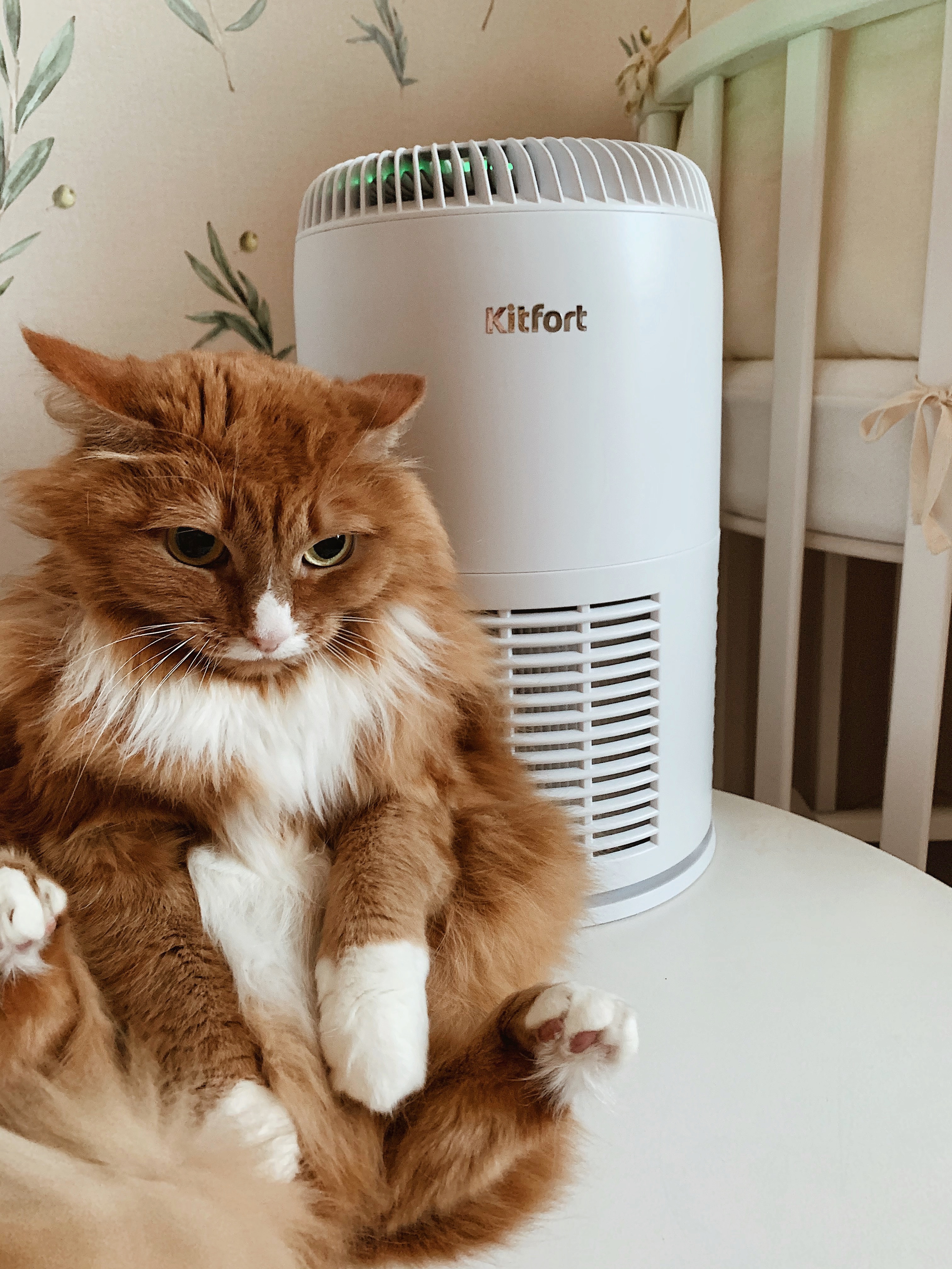 Купить Очиститель воздуха Kitfort KT-2812 — Фото 2