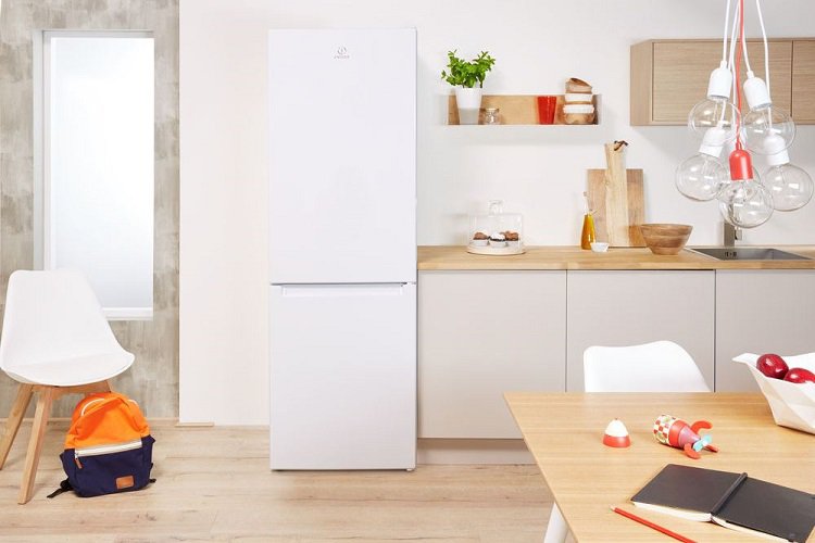 Купить Двухкамерный холодильник Indesit DS 4200 W — Фото 6